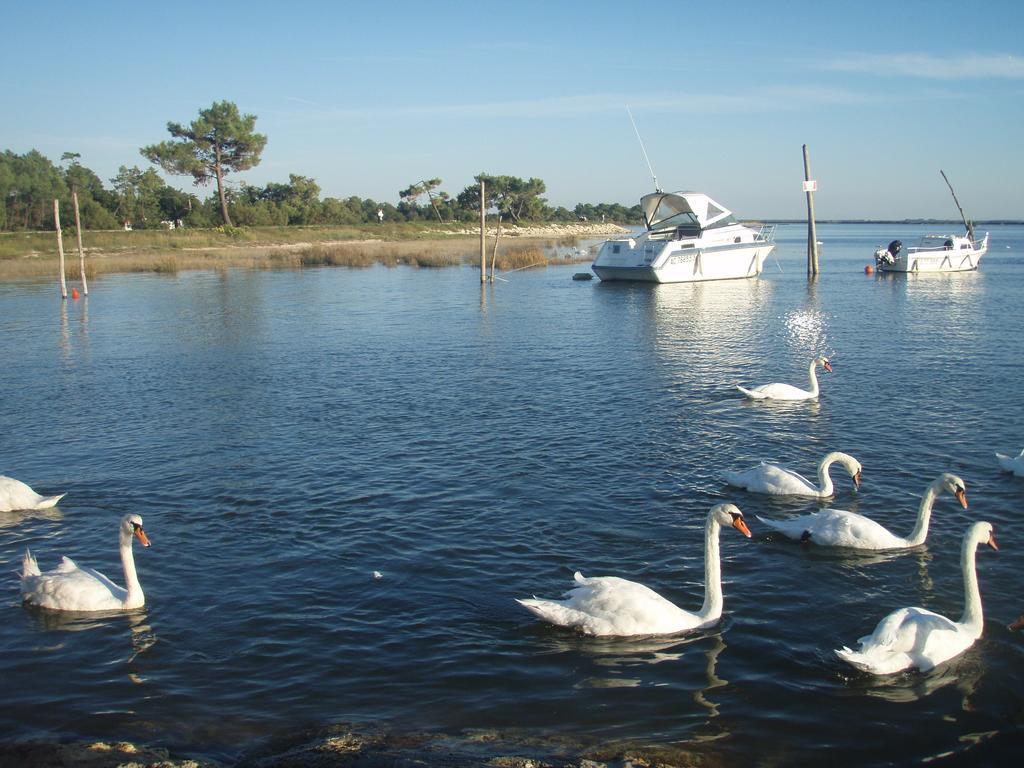 Les Marinas De Cassy Lägenhet Lanton Exteriör bild